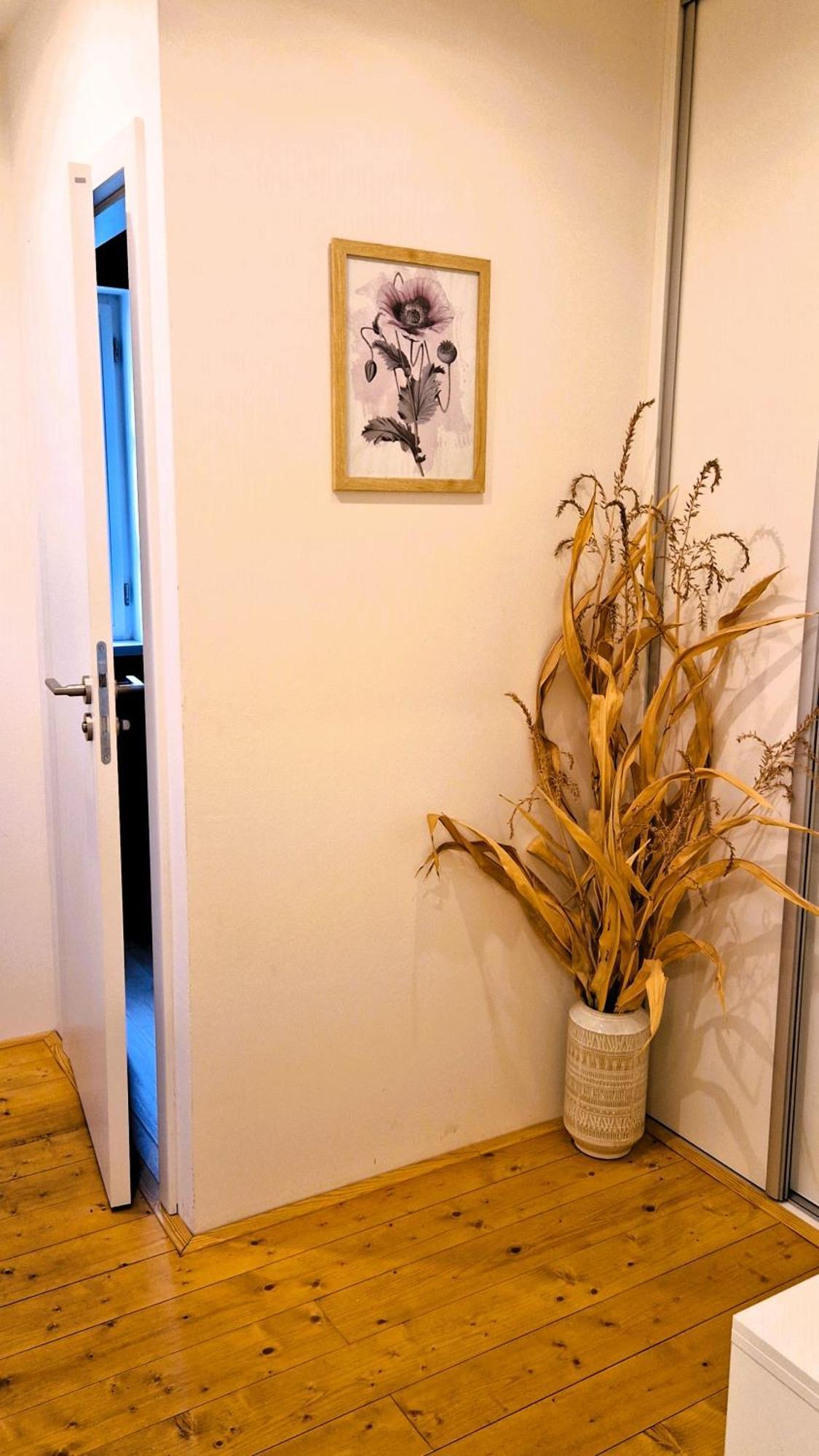 Apartmany Vcelin Brniste Εξωτερικό φωτογραφία