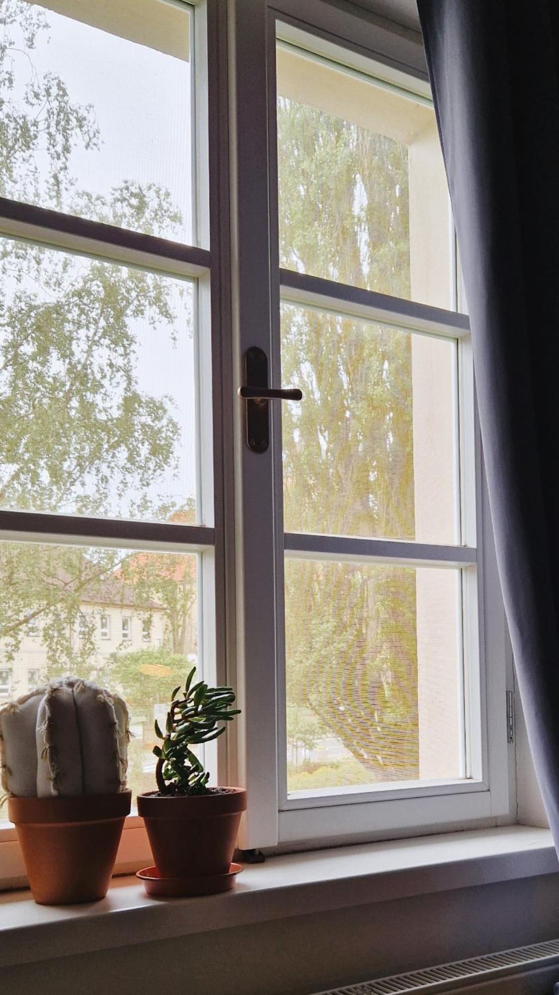 Apartmany Vcelin Brniste Εξωτερικό φωτογραφία